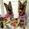 Christmas Dog Sweater - British Style Knitwear for Labradors & Pitbulls