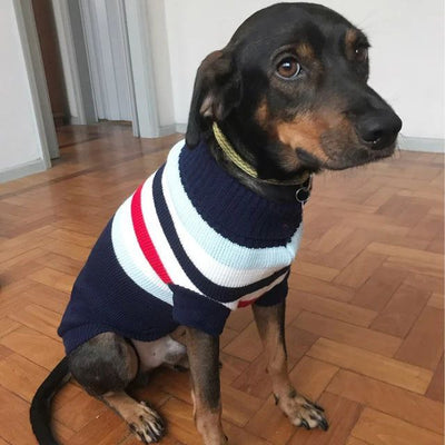 Christmas Dog Sweater - British Style Knitwear for Labradors & Pitbulls