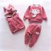 2023 Winter Baby Clothes Set - Hooded Cartoon Bear 3-Piece Outfit for Boys & Girls (0-5Y)